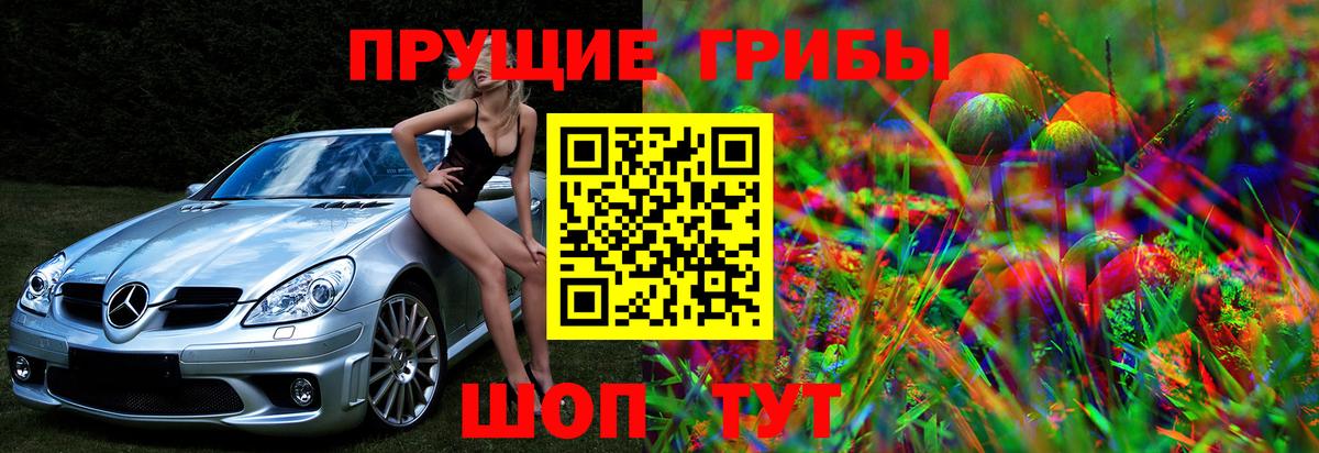 Химки  Галлюциногенные грибы ЛСД  Вход с VPN  Галлюциногенные грибы ЛСД 